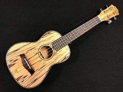 Kilauea Spalt 23 Concert Sz Spalted Maple Ukulele Ukulele Sealed Machines