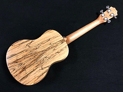 Kilauea Spalt 23 Concert Sz Spalted Maple Ukulele Ukulele Sealed Machines