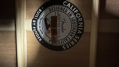 Fender Newporter Special Auditorium Acoustic Electric Guitar w/Bag, Solid Okoume