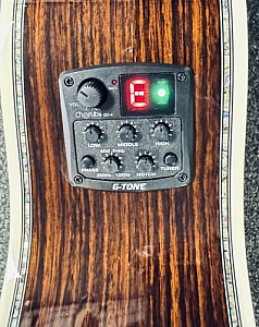 Lawson LOM 42 Cedar Acoustic Electric Cedar & Rosewood with Case