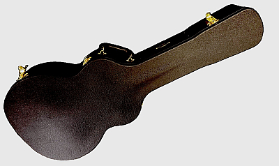 Taylor Next Generation 324ce Grand Auditorium Acoustic/Electric Guitar with Hard