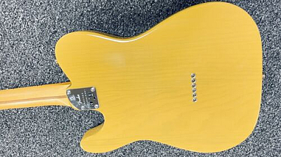 Fender American Professional II Telecaster Butterscotch Blonde Maple Fretboard