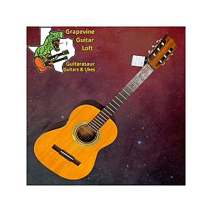 Epiphone EC30 Classical Acoustic Guitar with Case MADRID Made In USAKALAMAZOO MI