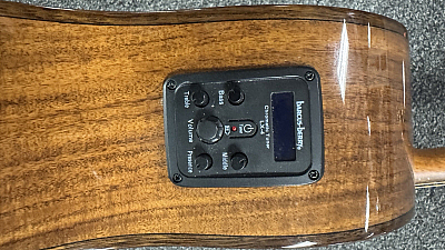 Washburn Bella Tono Elite BÍA - NATSCK Acoustic Electric Guitar