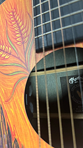 Martin DXMAE 30th Anniversary HPLDreadnought with Golden Eagle Art With bag